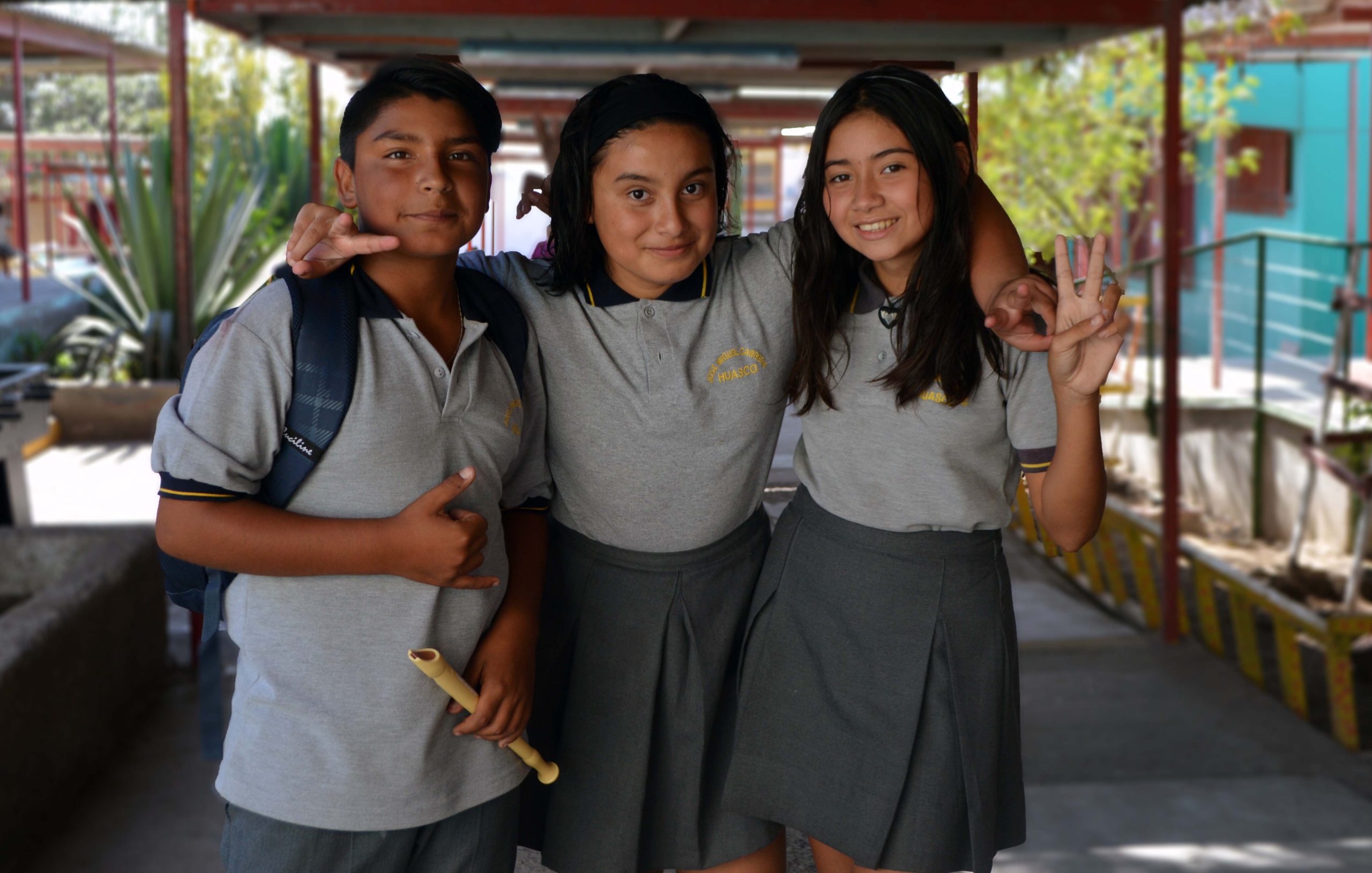 Colegios en Huasco
